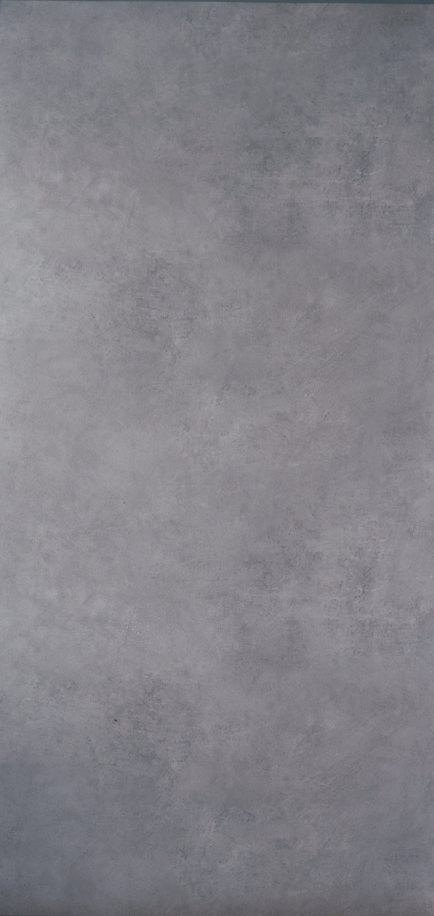 MS 424